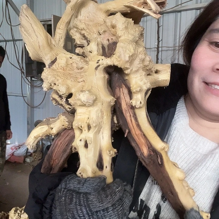 香榧木我的弟弟呜呜呜呜呜呜呜