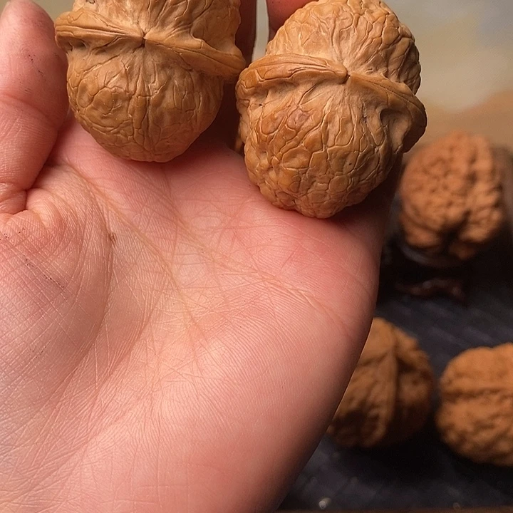 文玩核桃吊坠铁核桃69