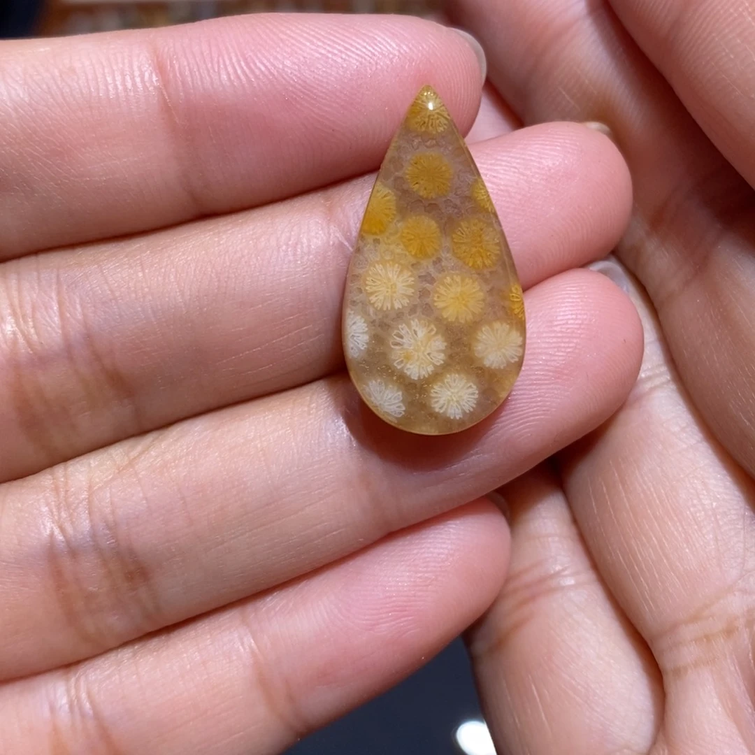 【闪购商品】未镶嵌珊瑚玉硅化玉
