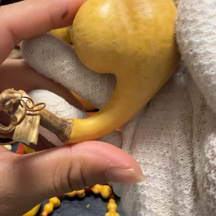 明***好6…………………………………………