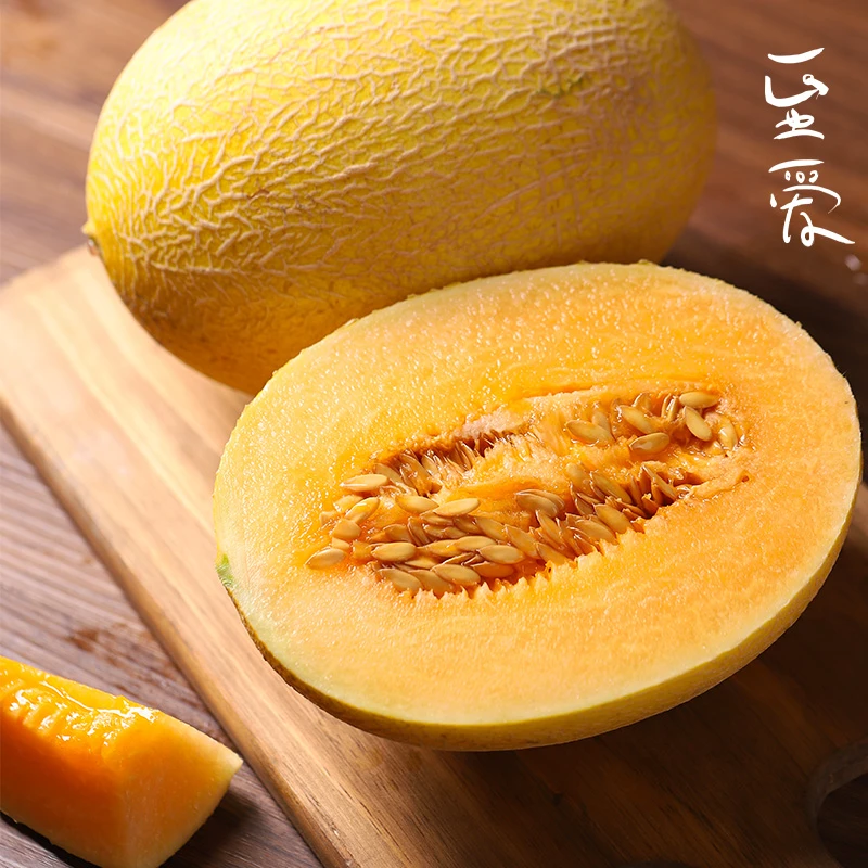 【陆地瓜】新疆至爱哈密瓜脆甜多汁颜值担当新疆哈密瓜新疆脆甜