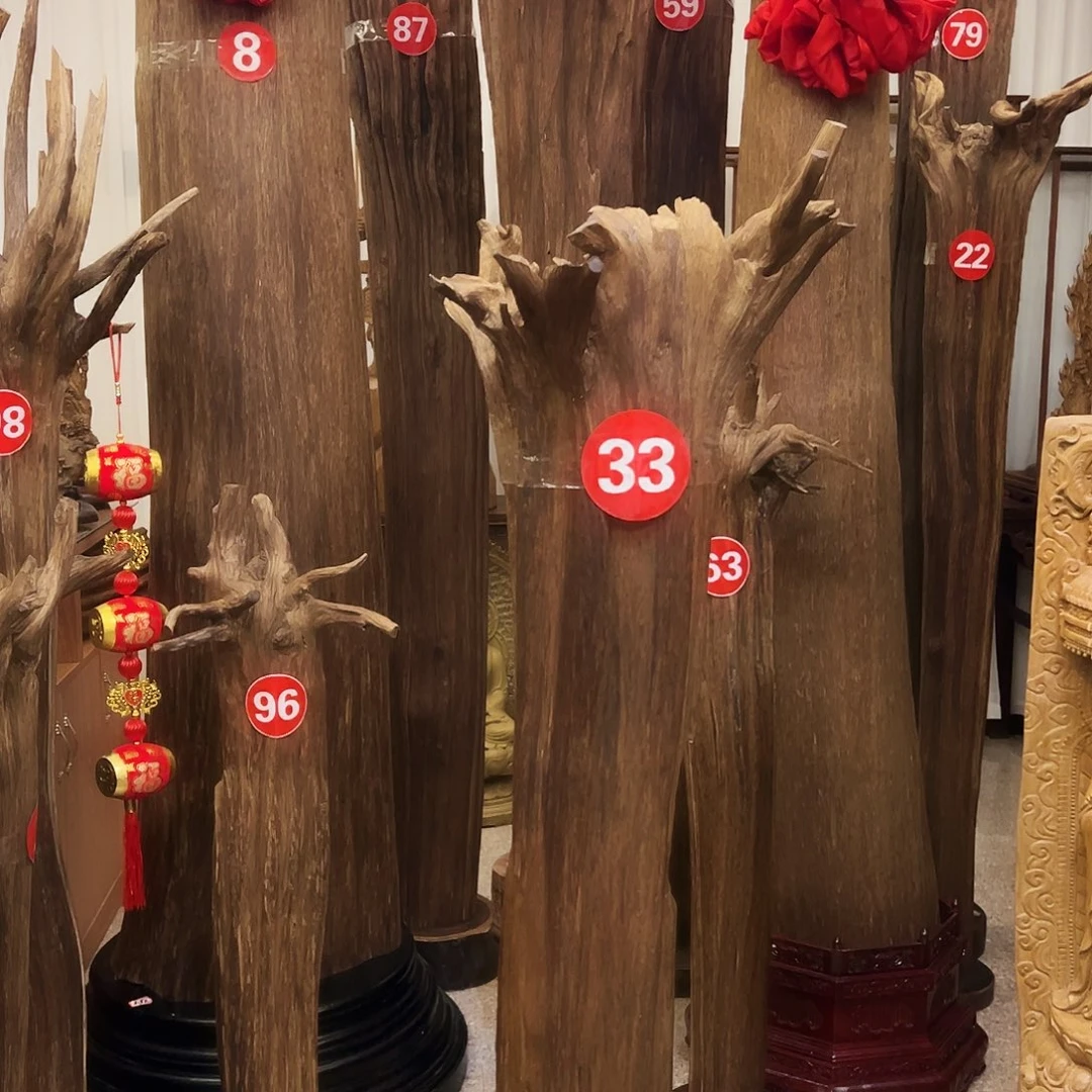 陕***柿沉香碎屑沉香沉香材料