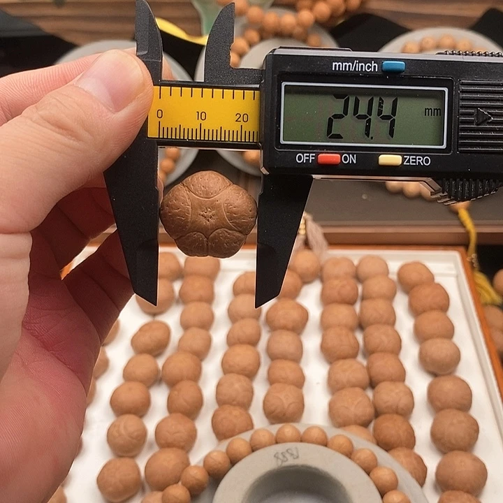 吊坠凤眼菩提尼泊尔菩提五星籽24.4