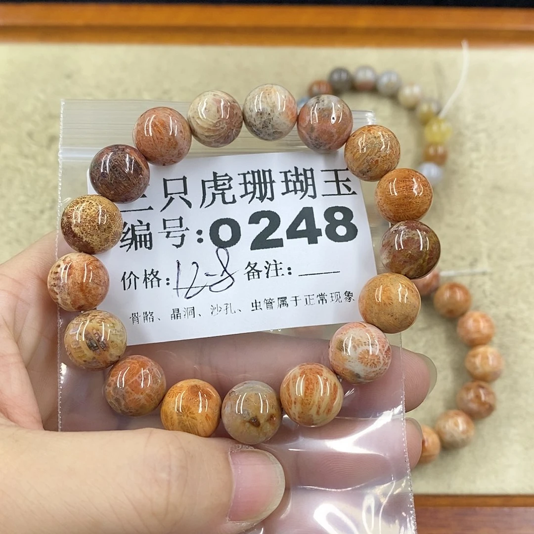 硅化珊瑚（珊瑚玉）1未镶嵌嘟*呀