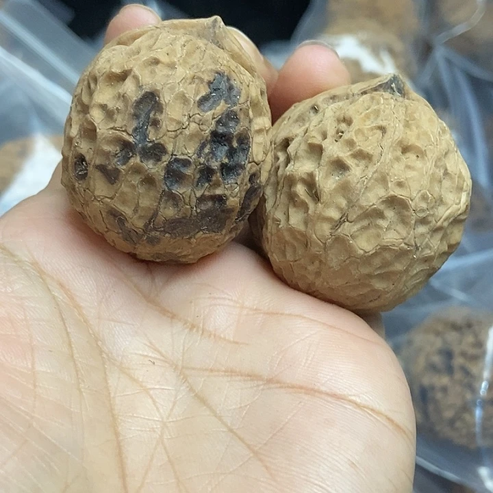 木质类云南铁核桃基地18