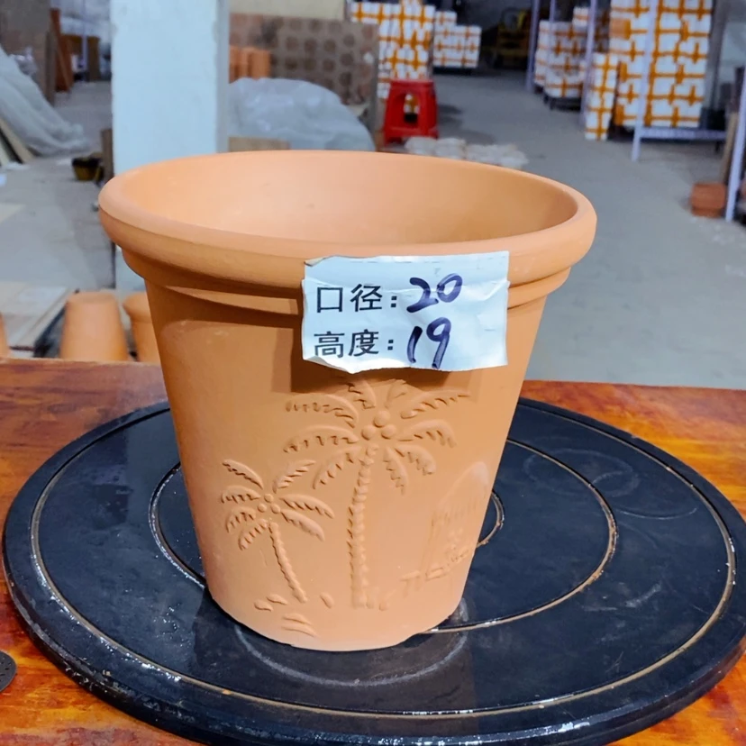 【闪购商品】椰树20×19-1