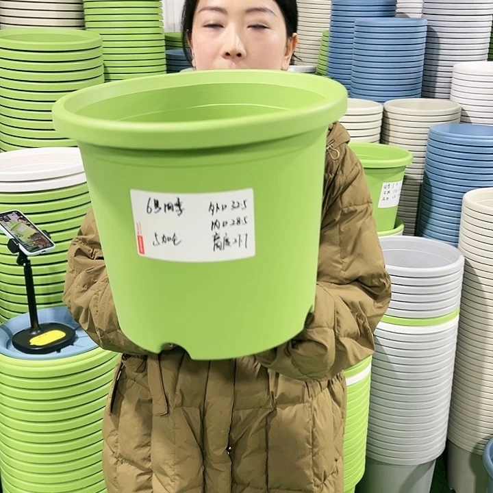 特价6号四季口32.5高27.7白色4只无托