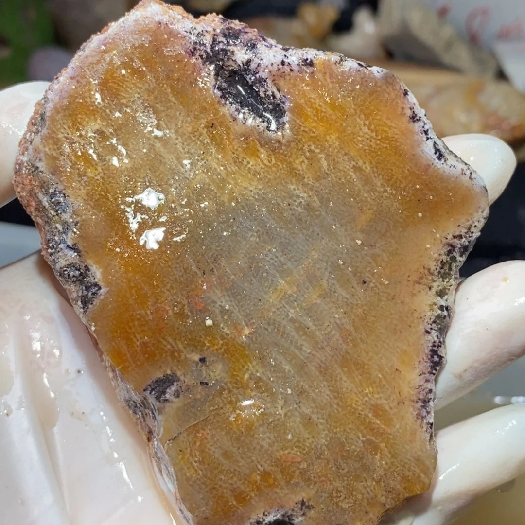 【闪购商品】硅化玉颈饰未镶嵌