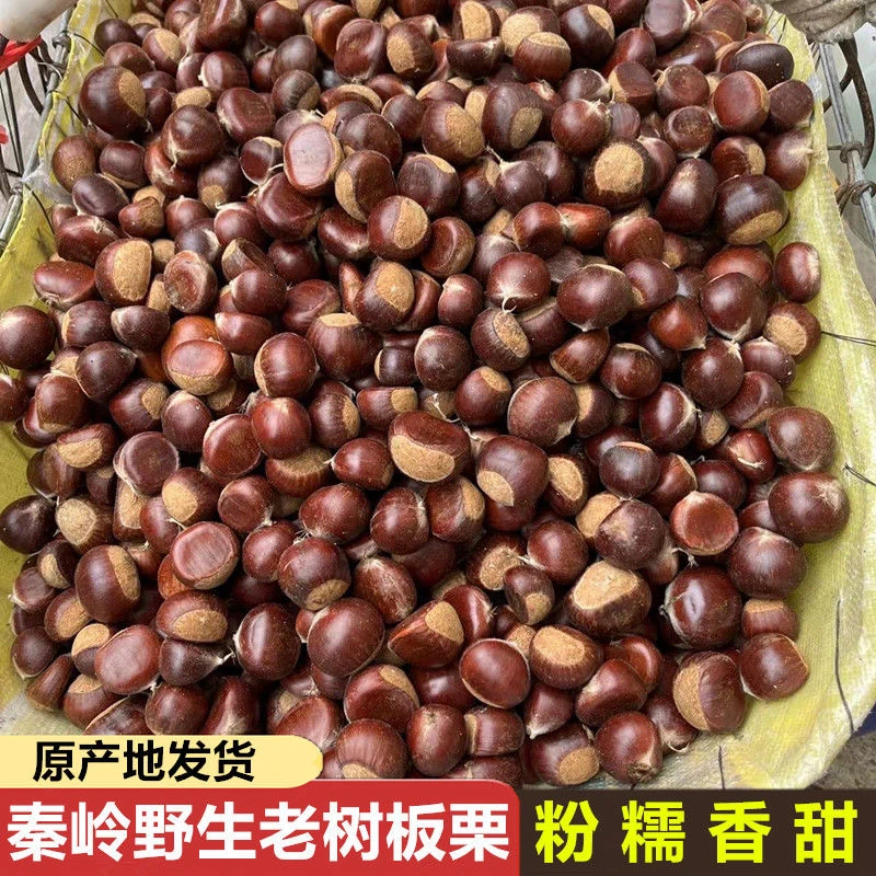 秦岭野生小板栗新鲜生板栗香甜软糯坏果包赔