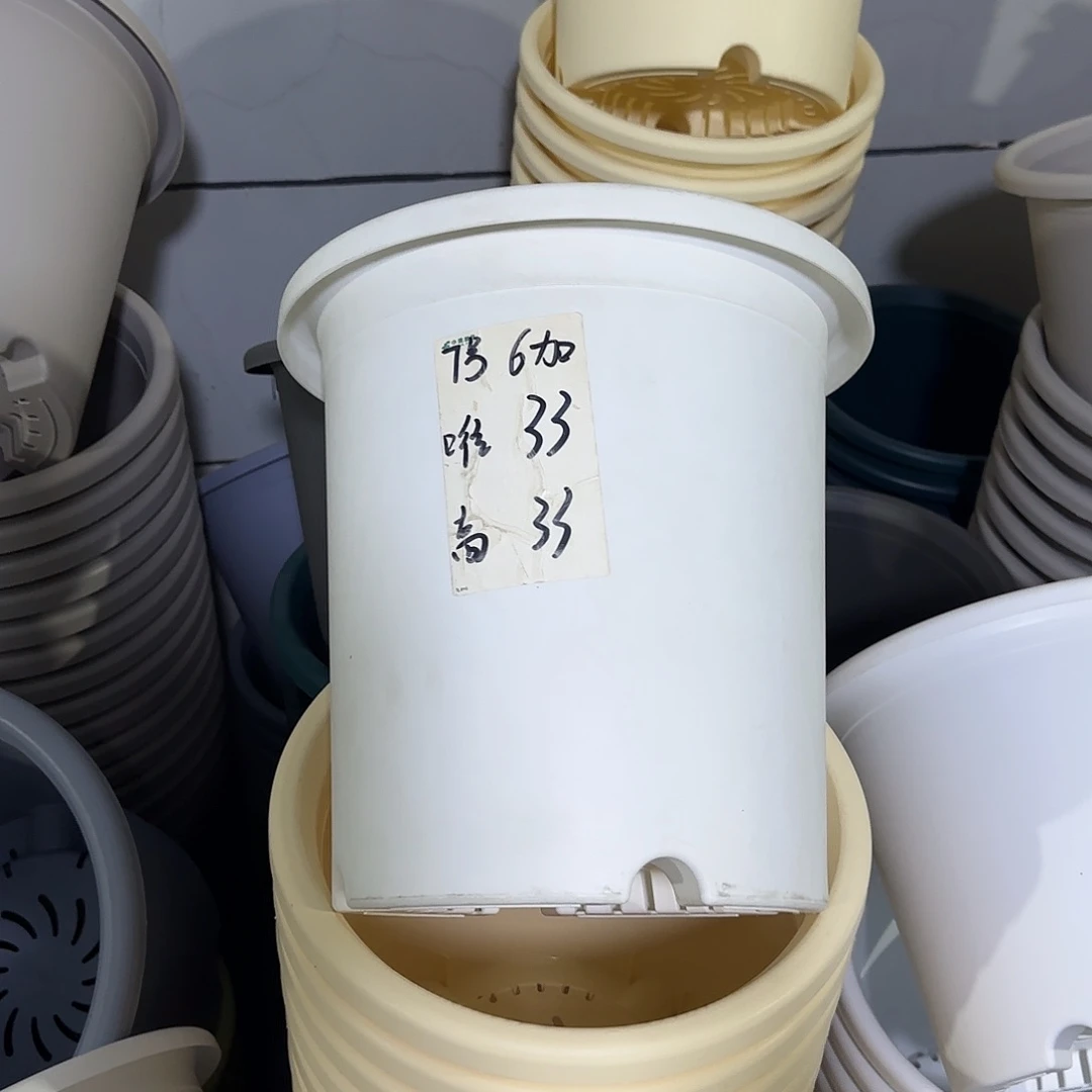 微瑕7号3个无托，白色