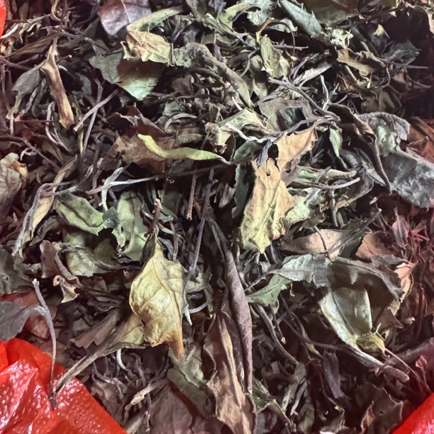 云南土特产-白茶