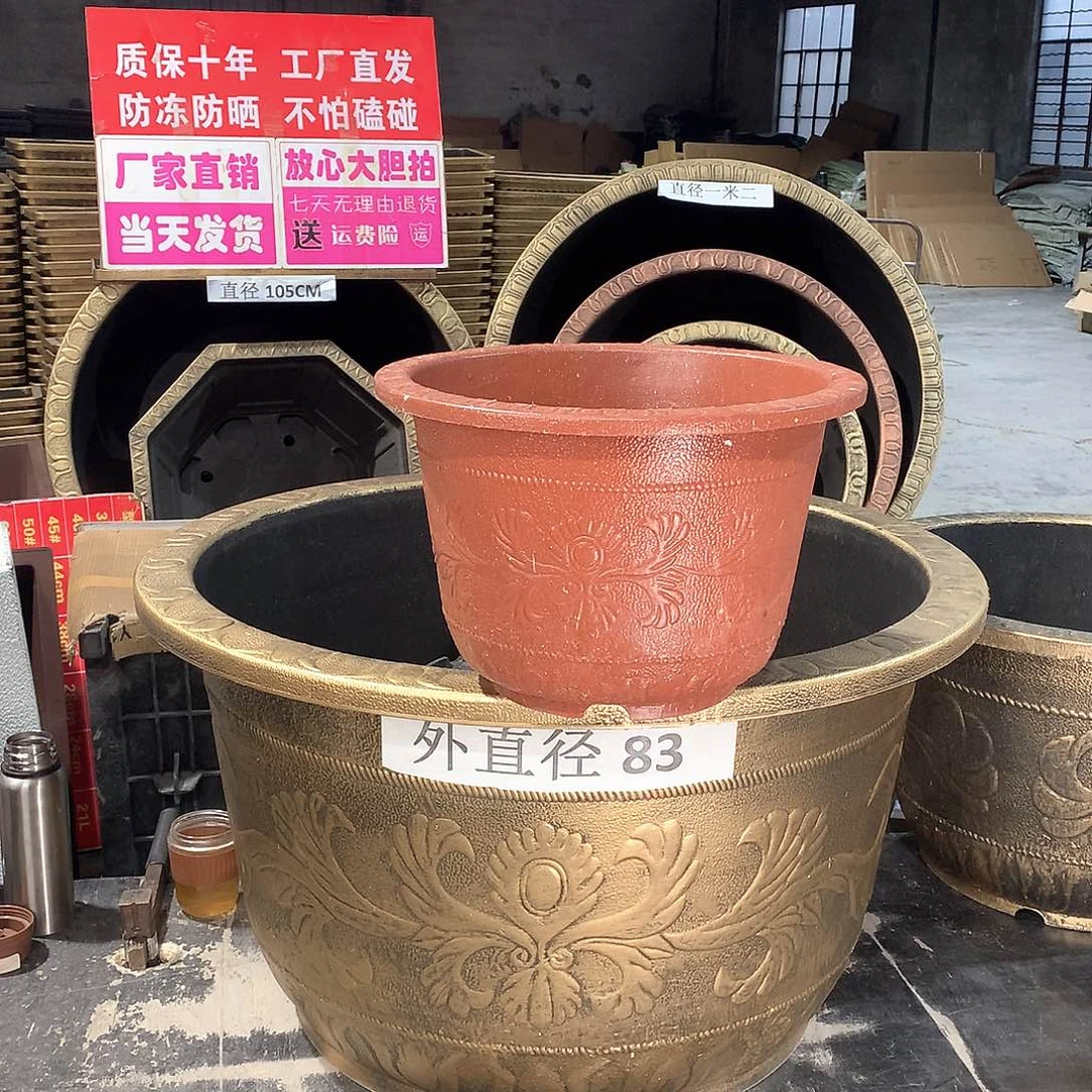 复合炸****就花盆花开了一个人