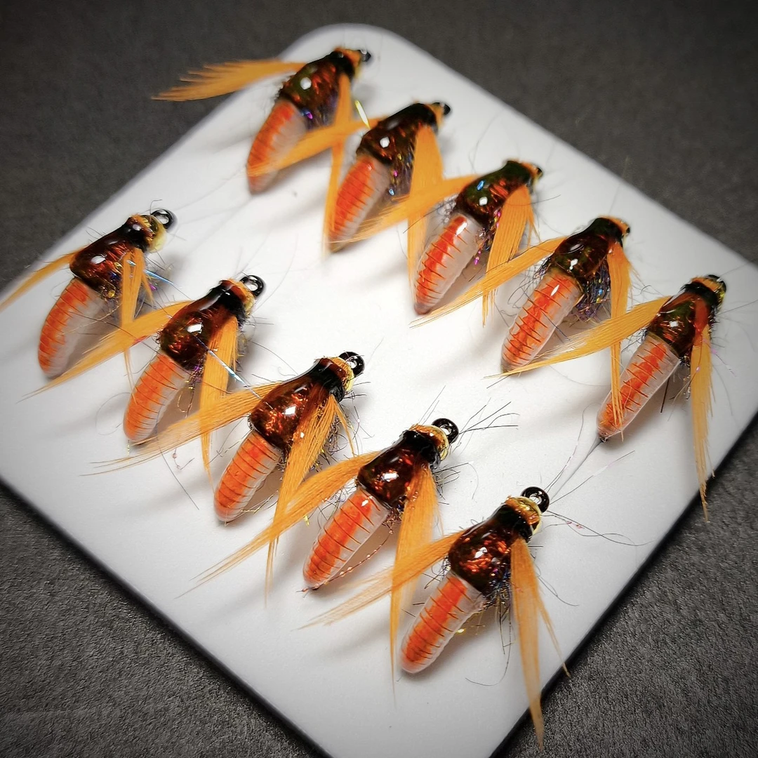 铜头若虫飞蝇钩仿生马口白条鳟鱼鲈鱼亚罗军鱼推荐饵假饵路亚饵