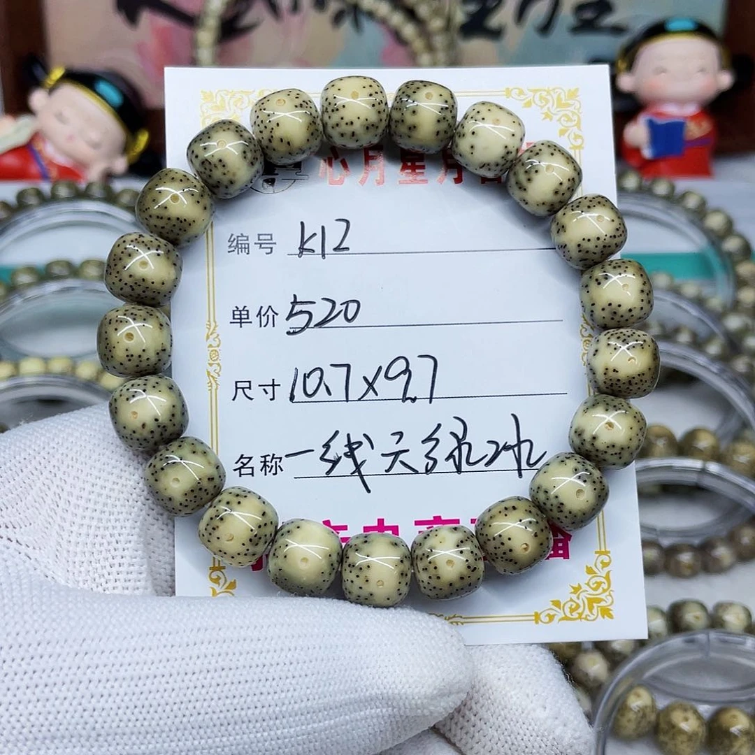 小*海南心月星月菩提k12