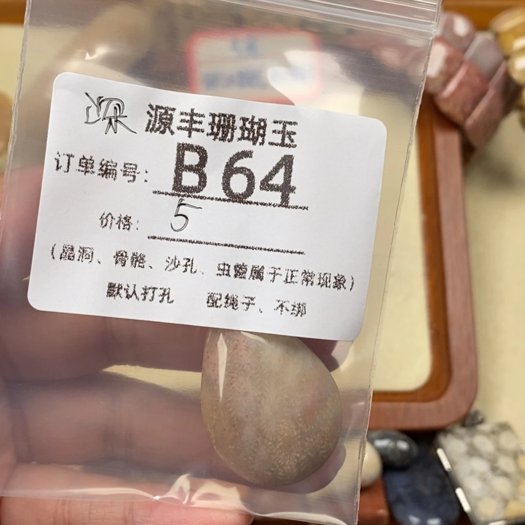 深***邃硅化玉未镶嵌颈饰
