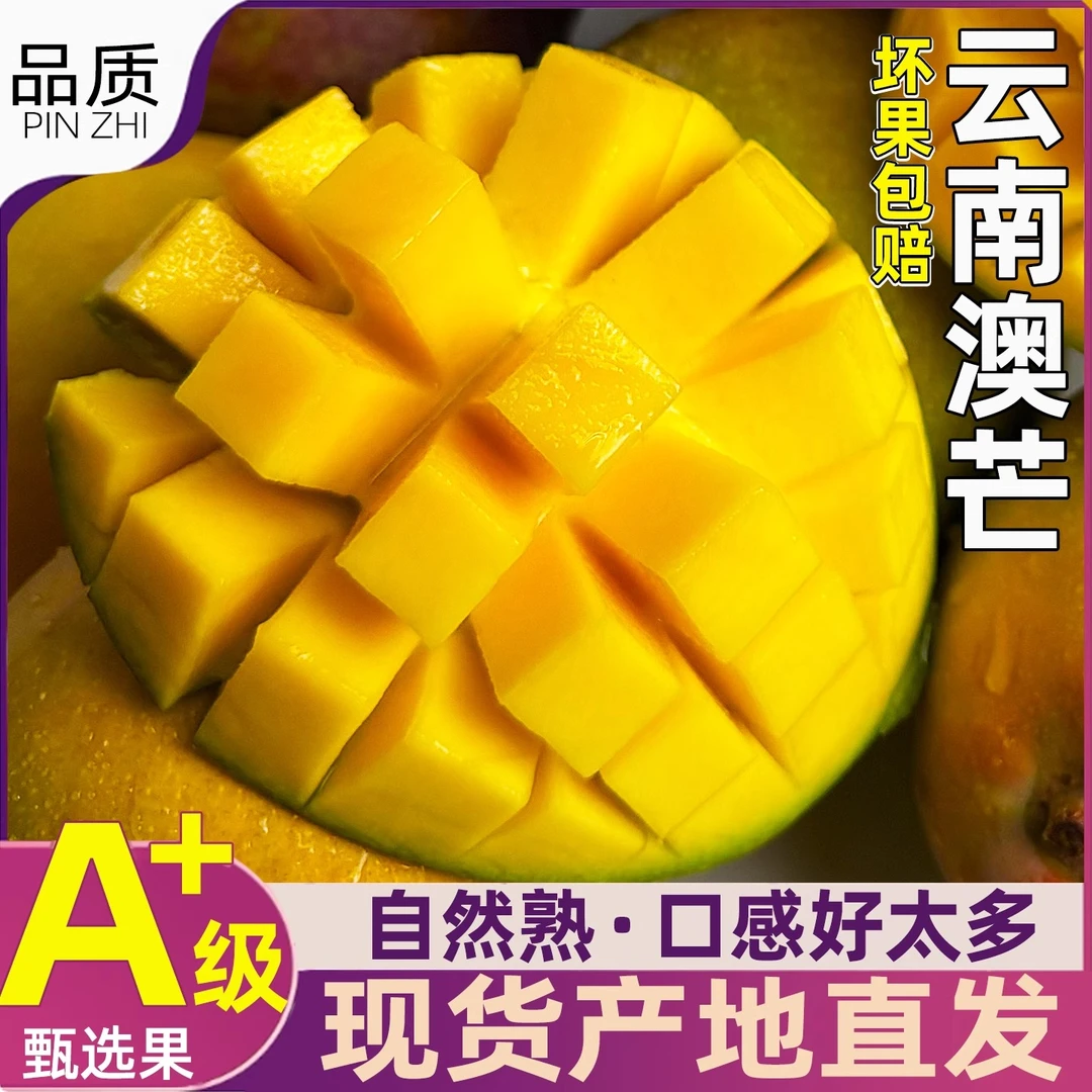 云南澳芒芒果水果热带水果大芒果肉厚甜蜜无丝国产澳芒包邮