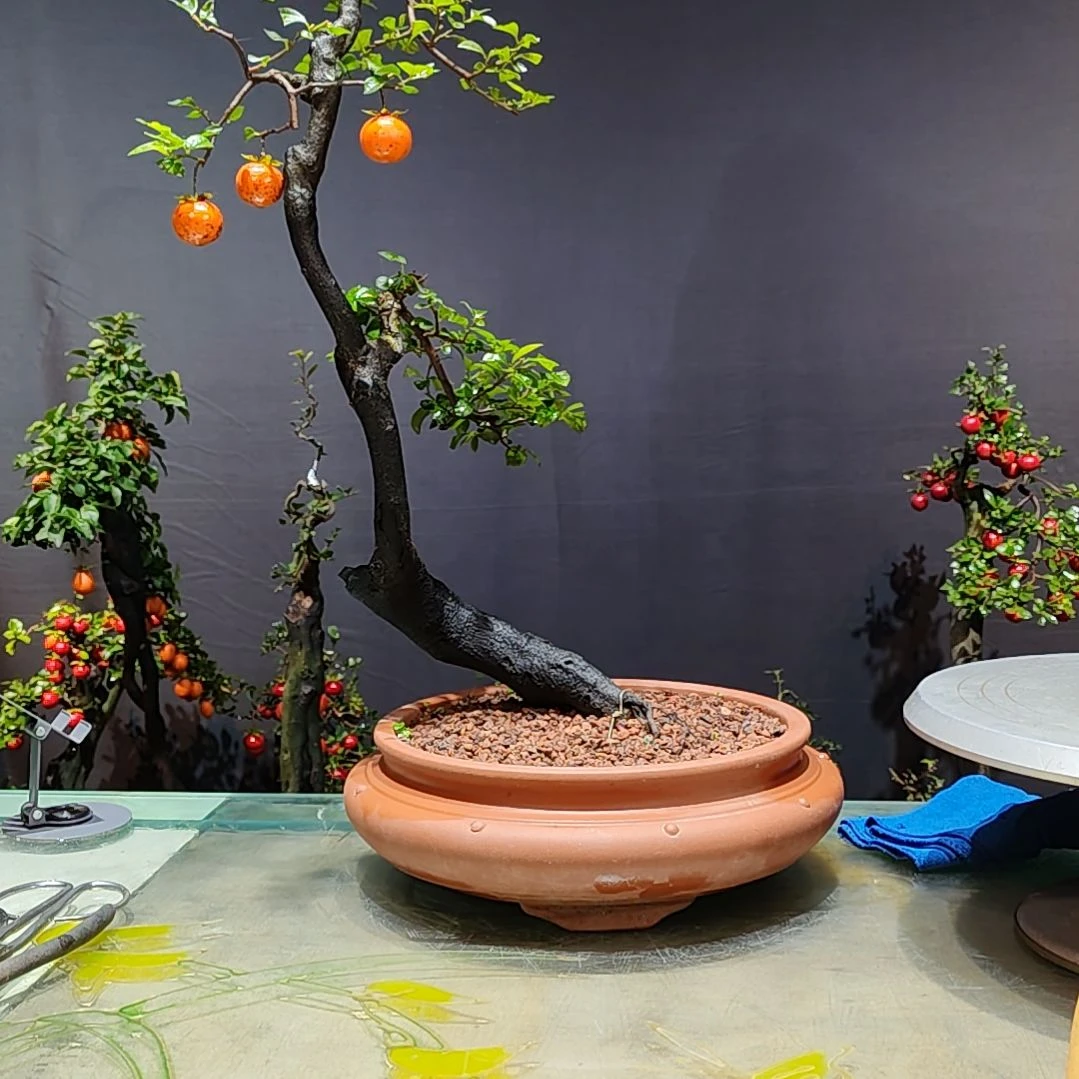 无花朵栽培后可开花朵
