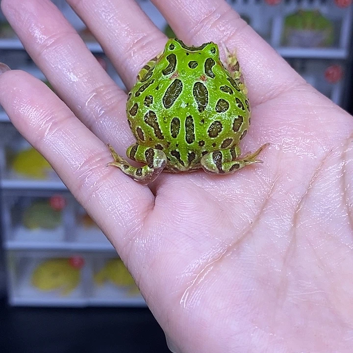 特价秒杀现货特价瑕疵