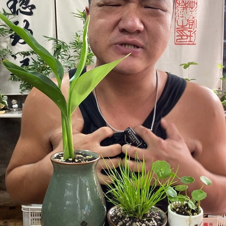 无花朵退款拉黑拉黑22