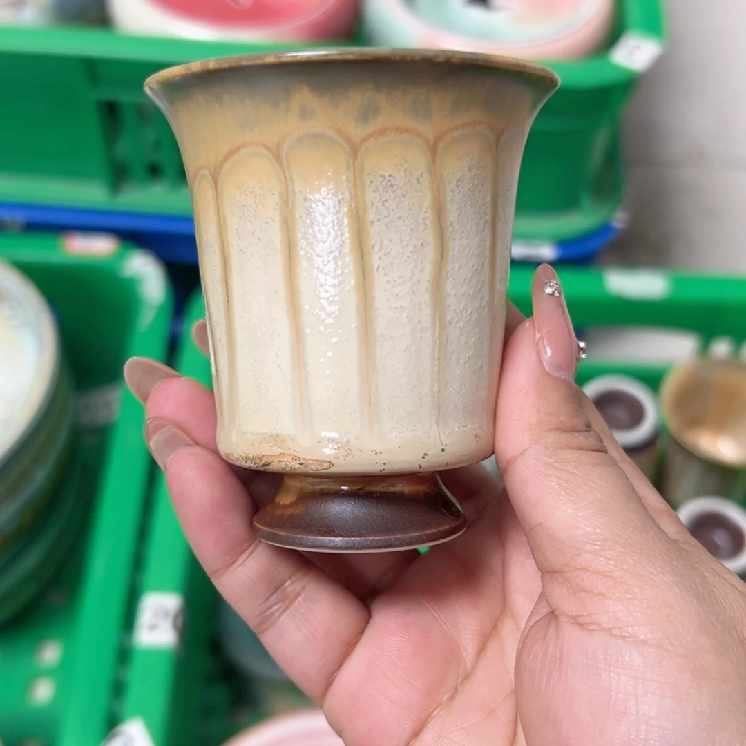 碟Z*S，杯杯杯杯杯杯杯杯杯杯