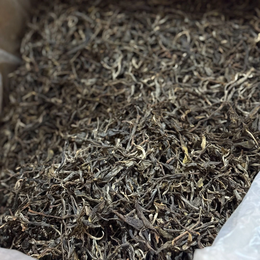 新人福利必拍 冰岛南迫茶样 24年高端普洱生茶百年古树茶样品鉴装