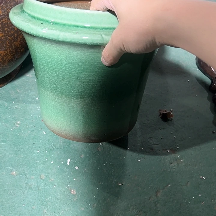紫砂花盆花盆花盆花色跑得快