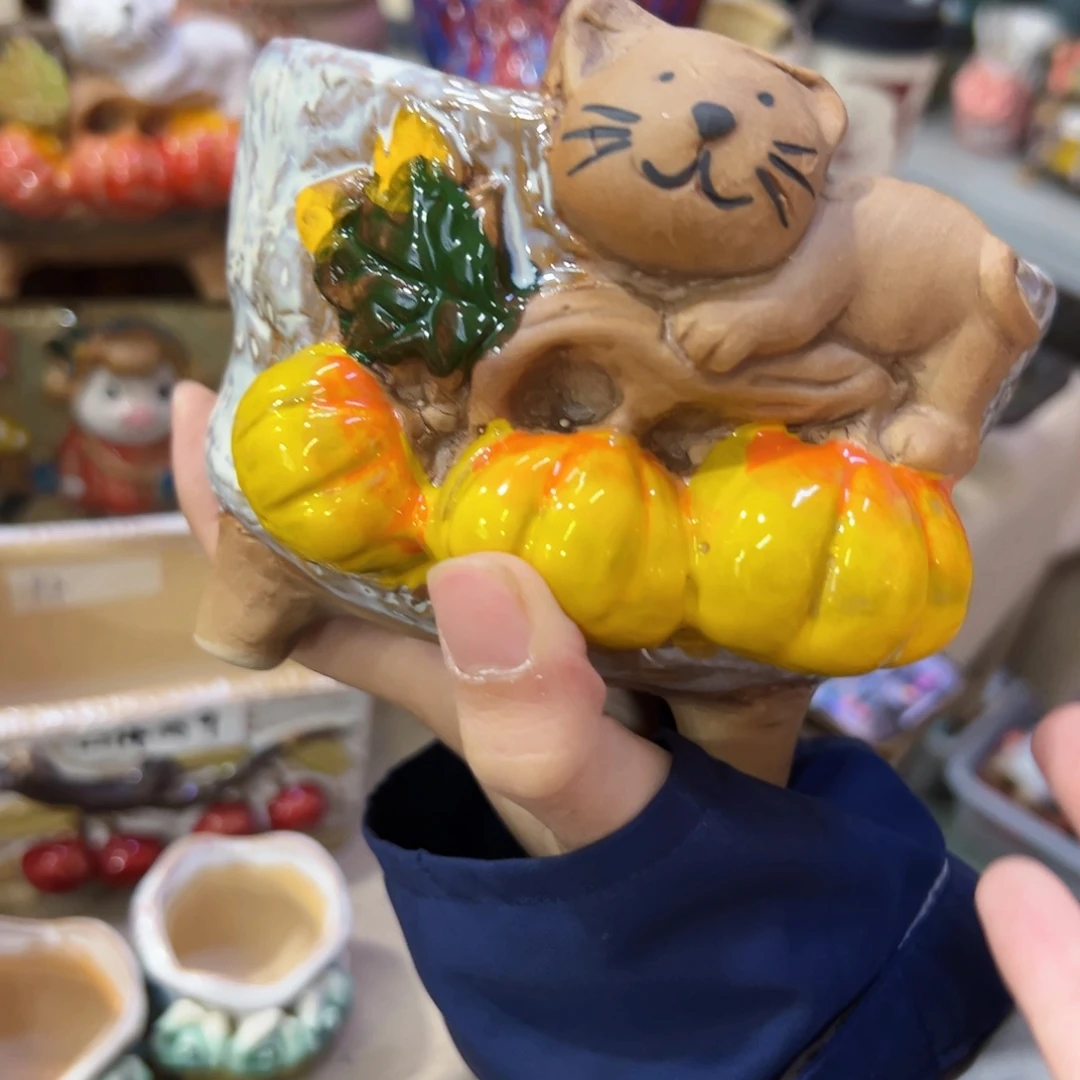 本场直播满100赠送一个花盆