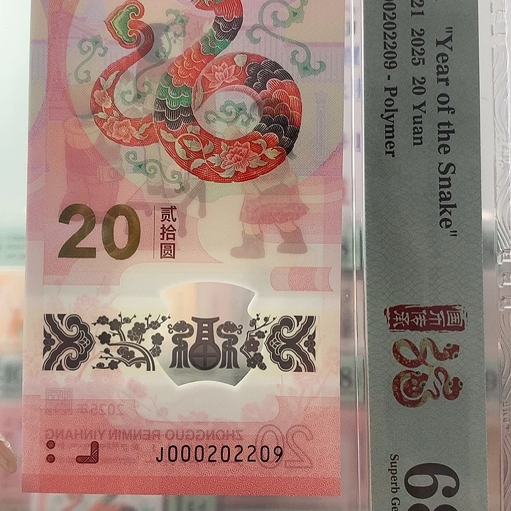 塑料小司令，029，年份号