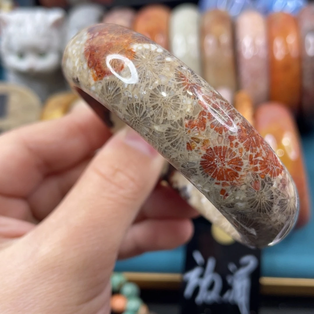 未镶嵌手镯硅化玉