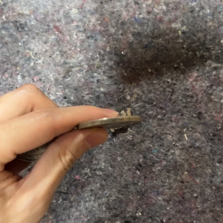 都是自己家的拍就完