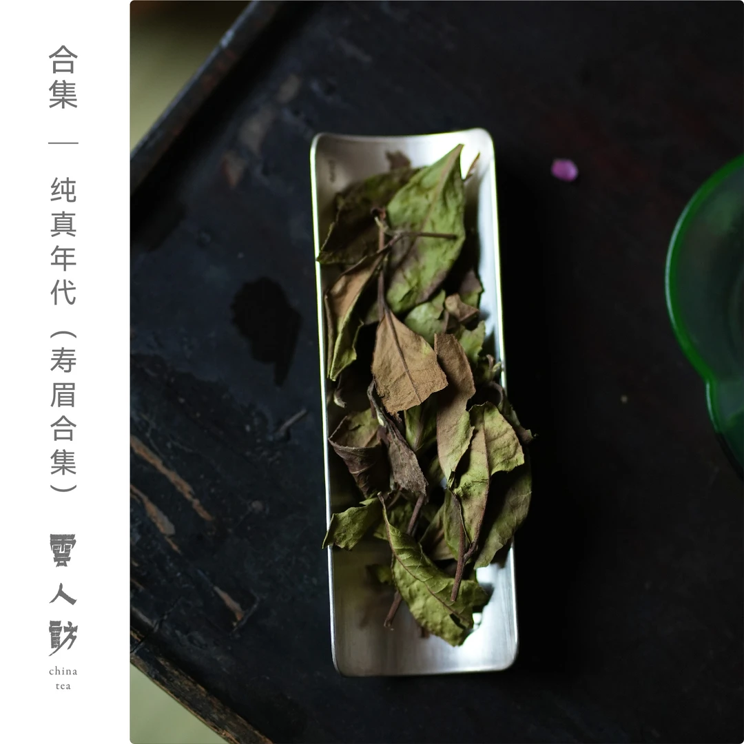 【纯真年代】云人访 白茶品鉴合集 45克