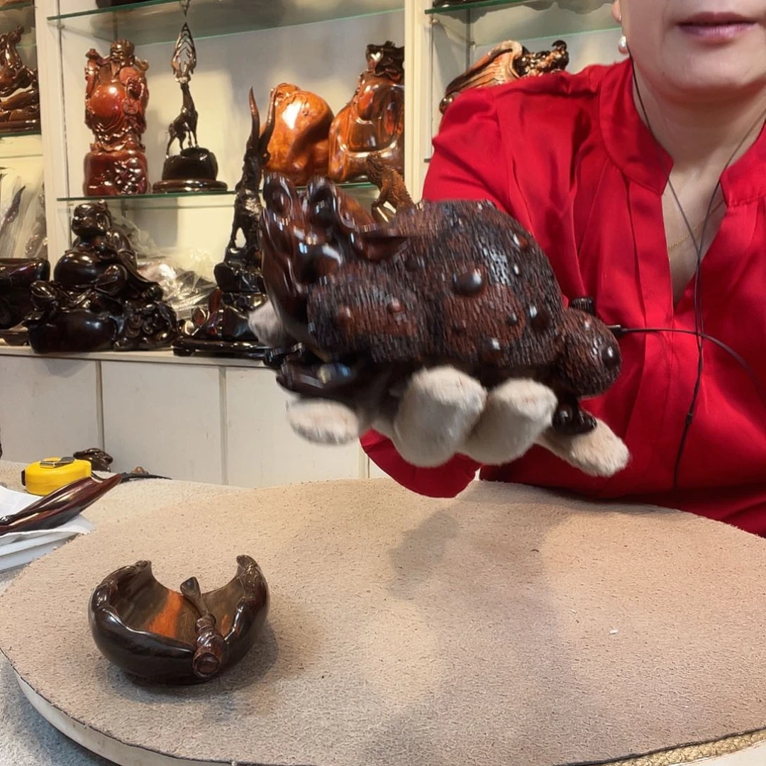 木大红酸枝跤趾黄檀