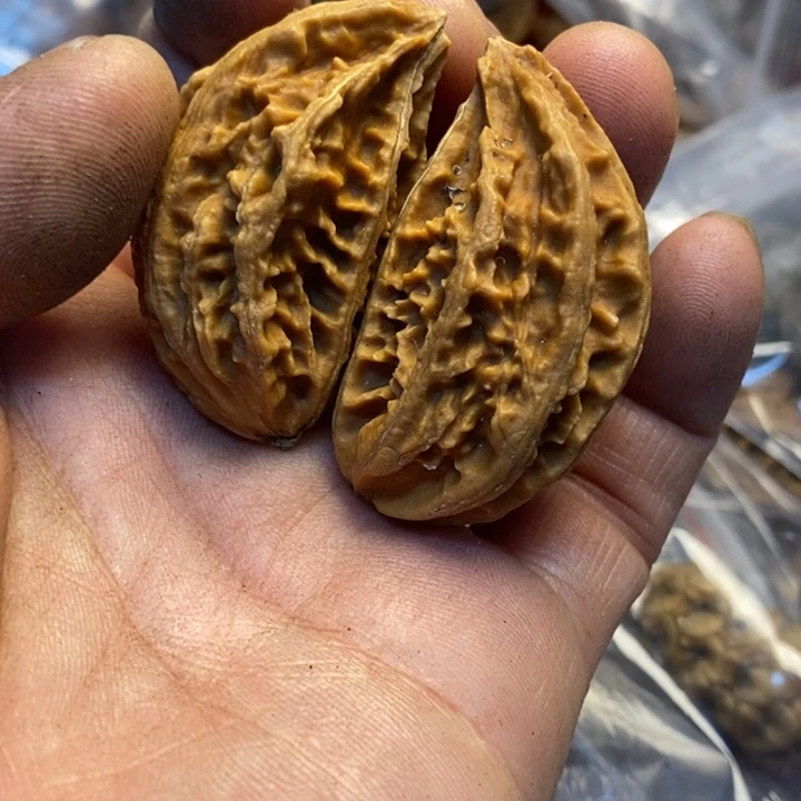 吊坠桃核哪里的双65