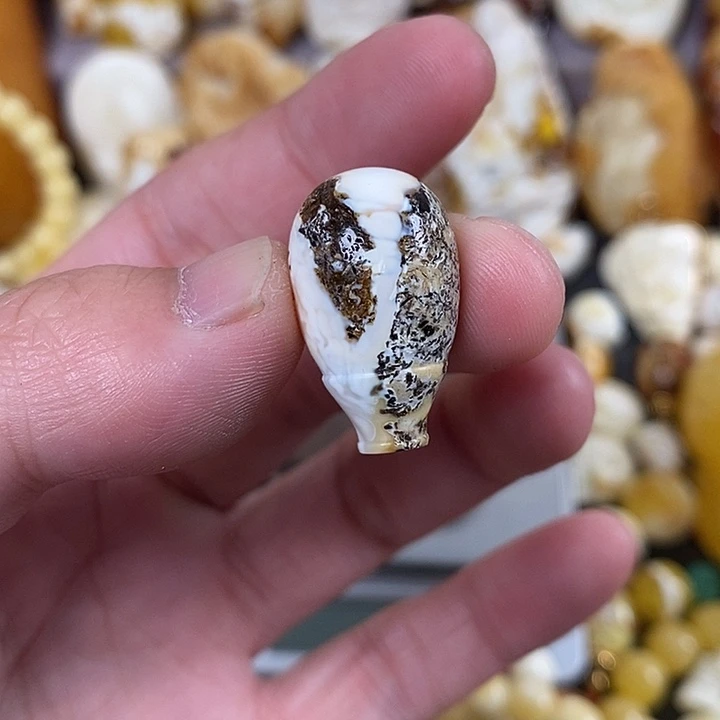 琥珀未镶嵌珠宝奇石我