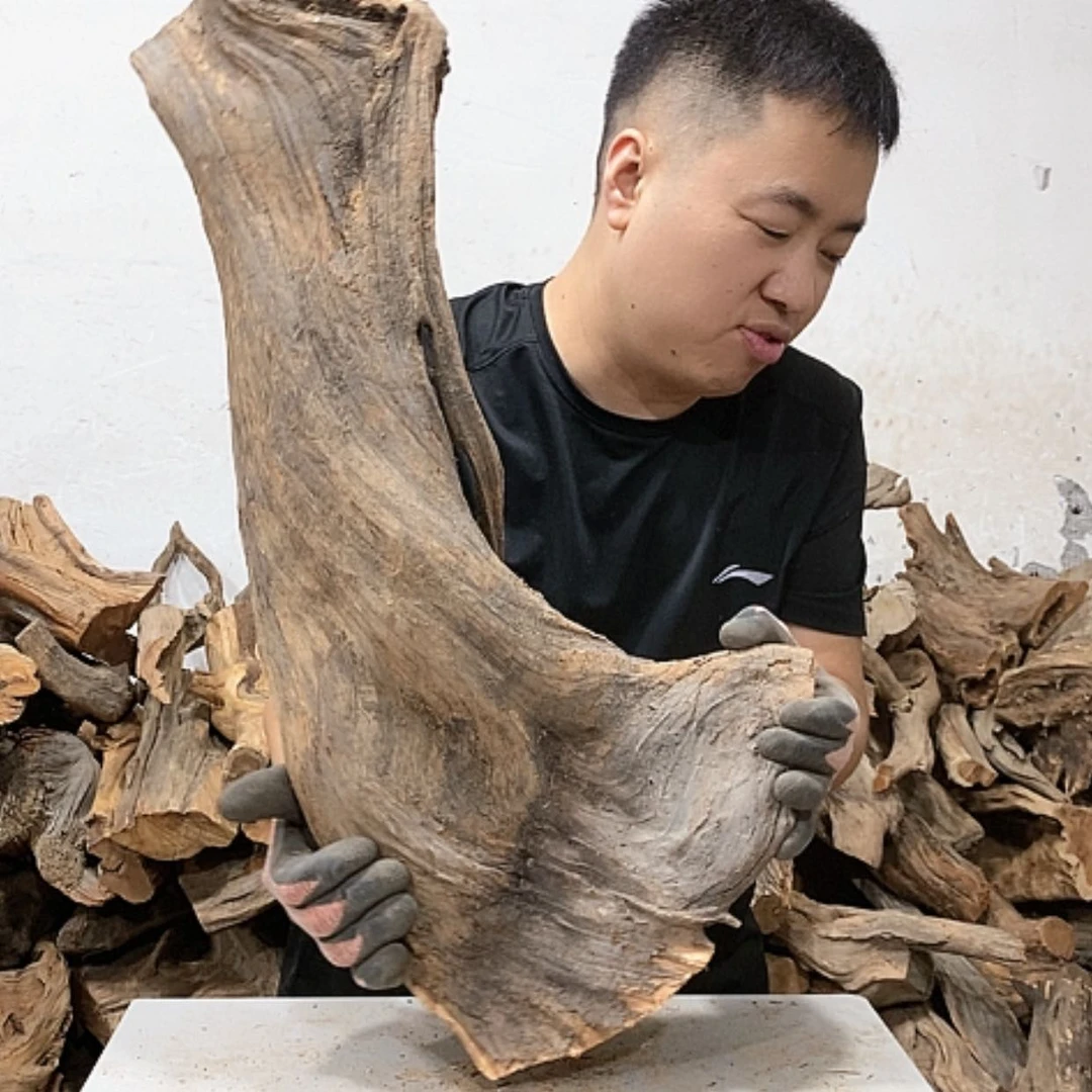 【闪购商品】柏木正****馆我们的目标是成为更优秀更优秀