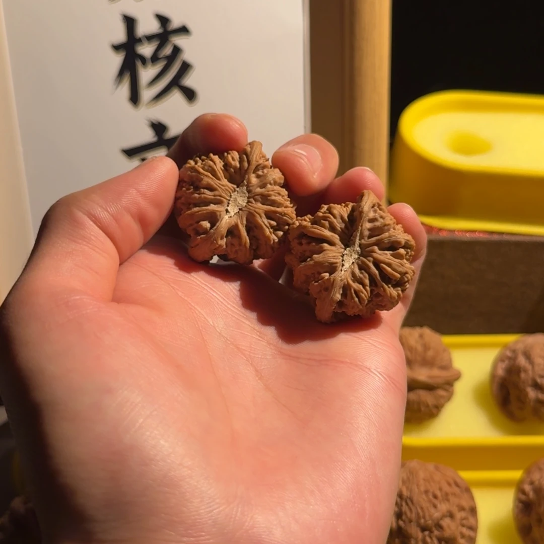 C***·核桃密纹狮子头卡姿兰