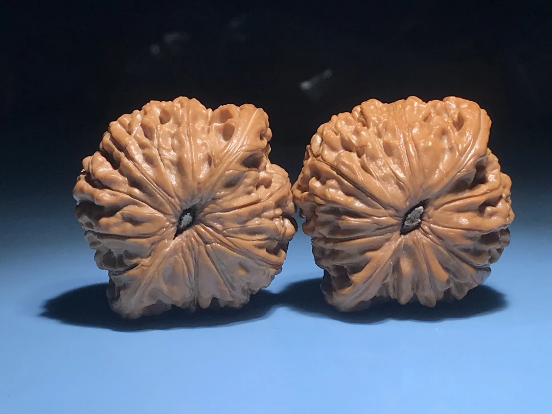 文玩核桃39尺寸全品房山正磨