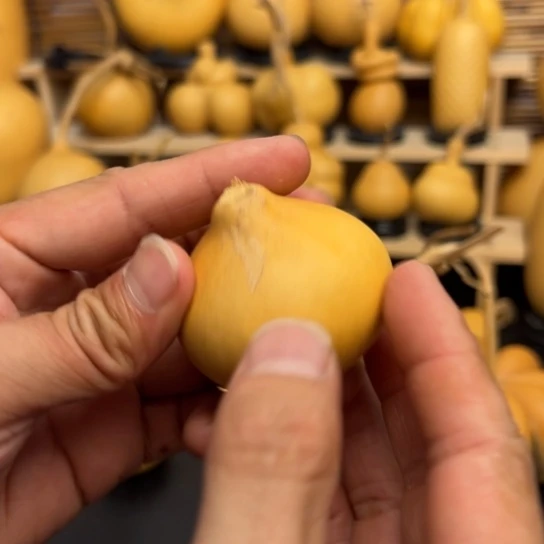 ?*北122335669899999