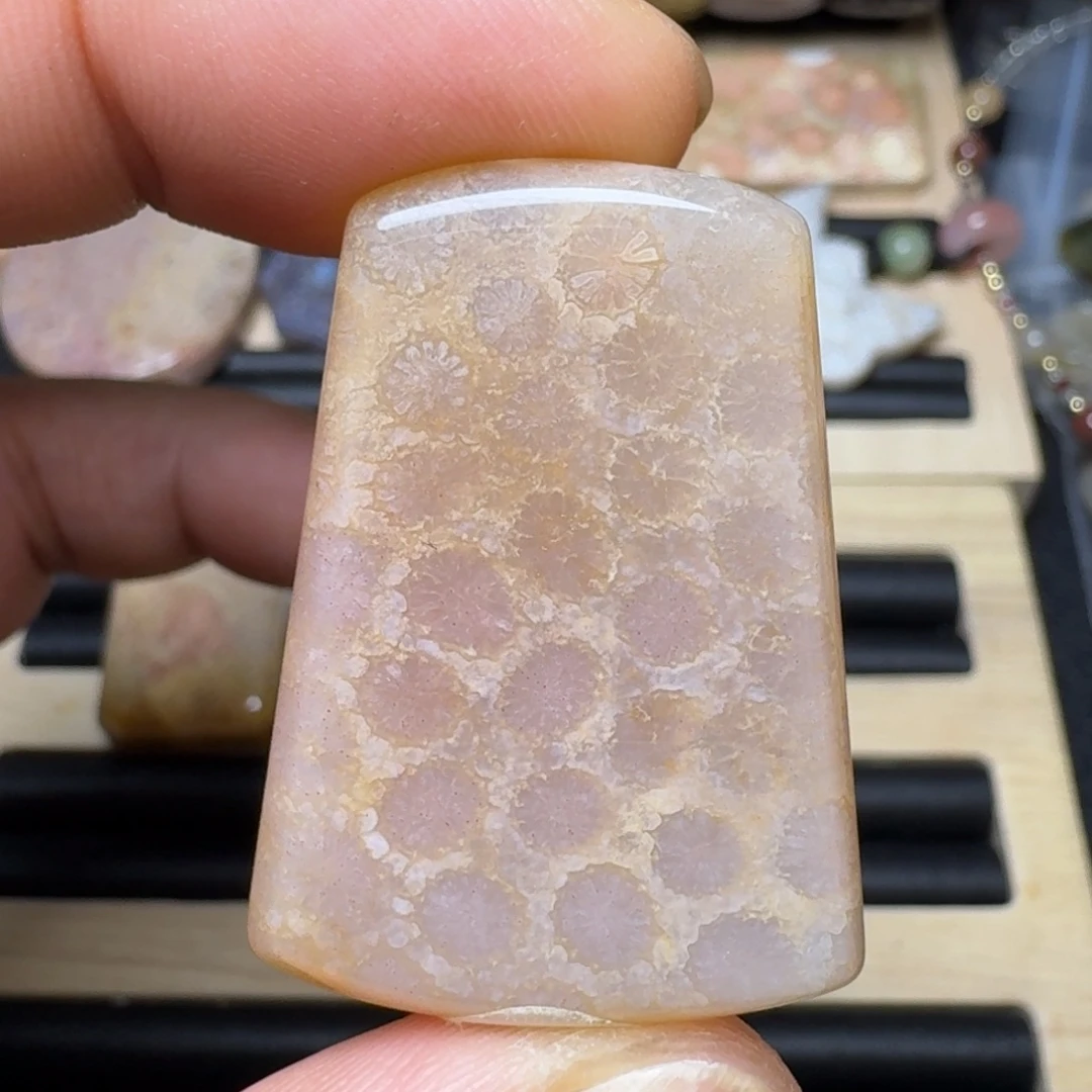 未镶嵌纯天然色有机玉石保真色硅化玉