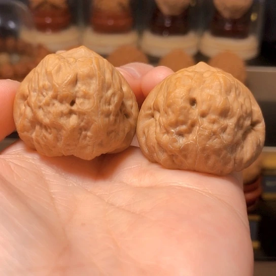 三角桩：精品古蟾