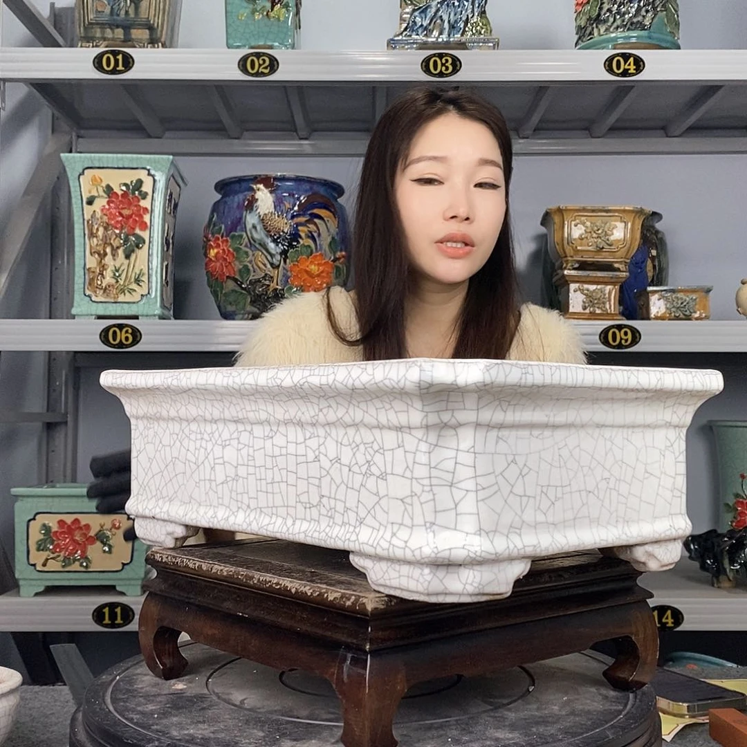 红陶鸟**门石湾盆石湾盆