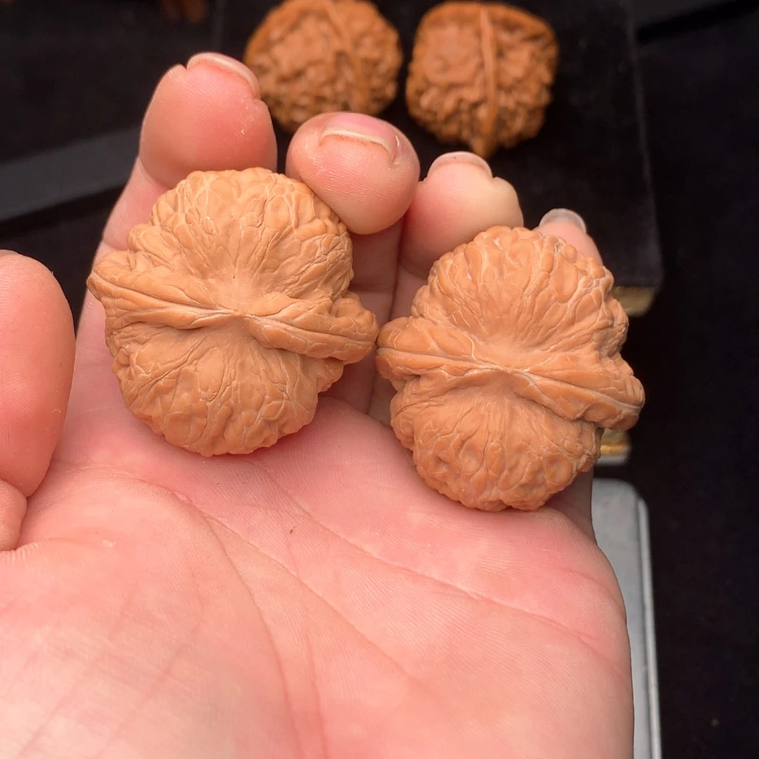 文玩核桃把件坚**?元宝