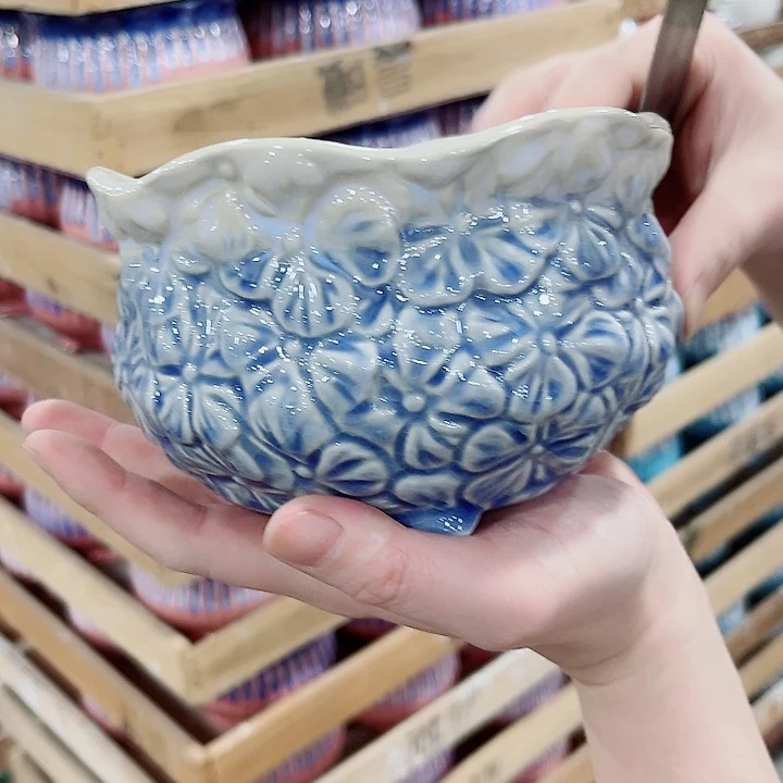 陶瓷陶瓷多肉植物花盆