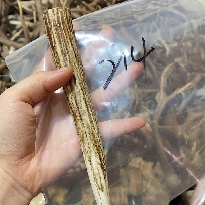 无非金属鹿角鹿角