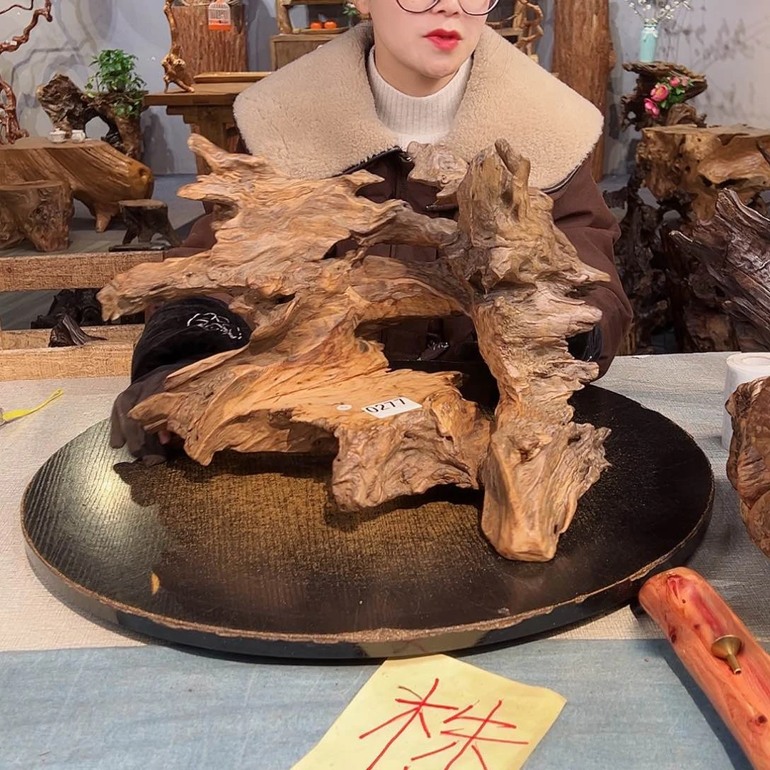 木柏*277 hghghghhhhh