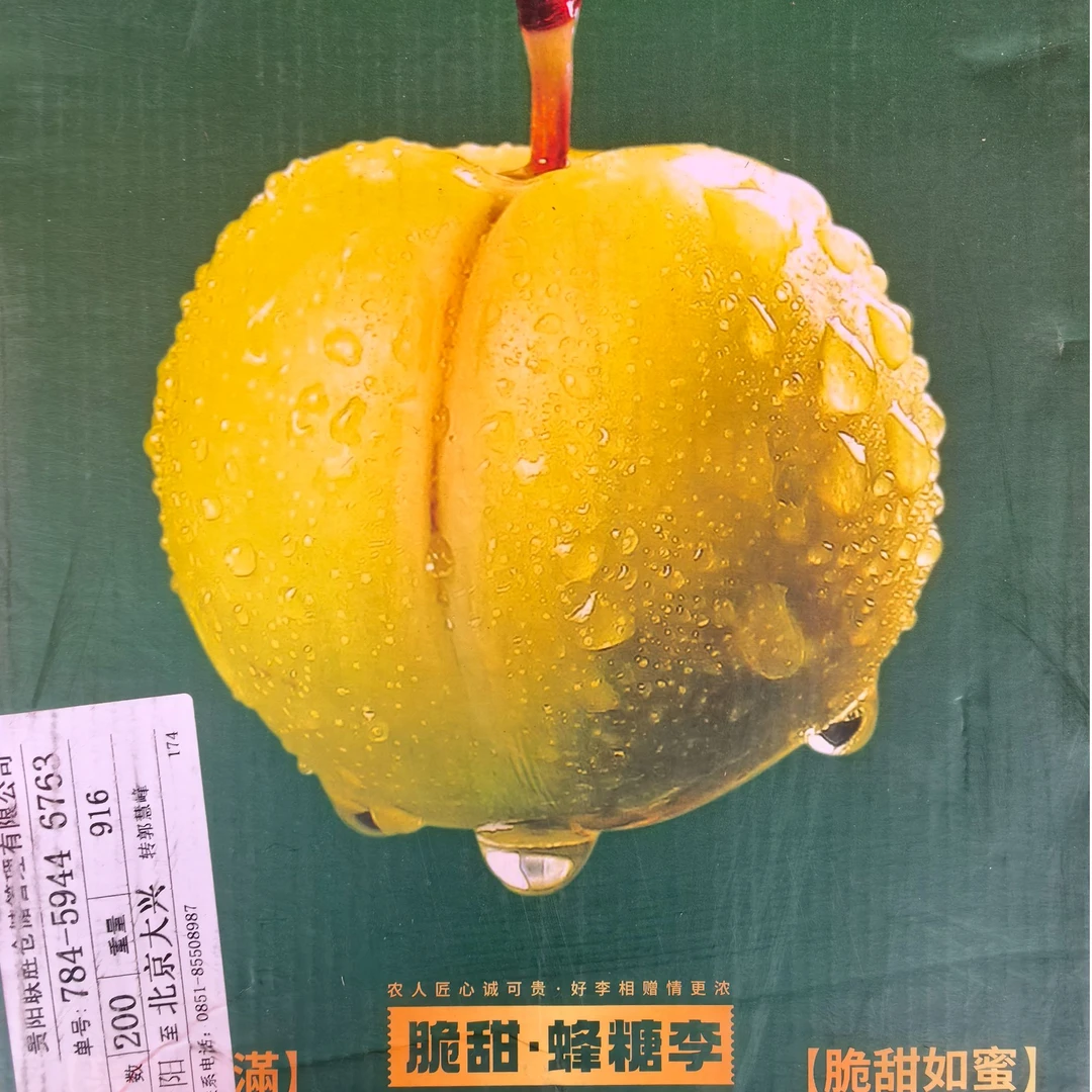 贵阳脆甜蜂糖李贵州省