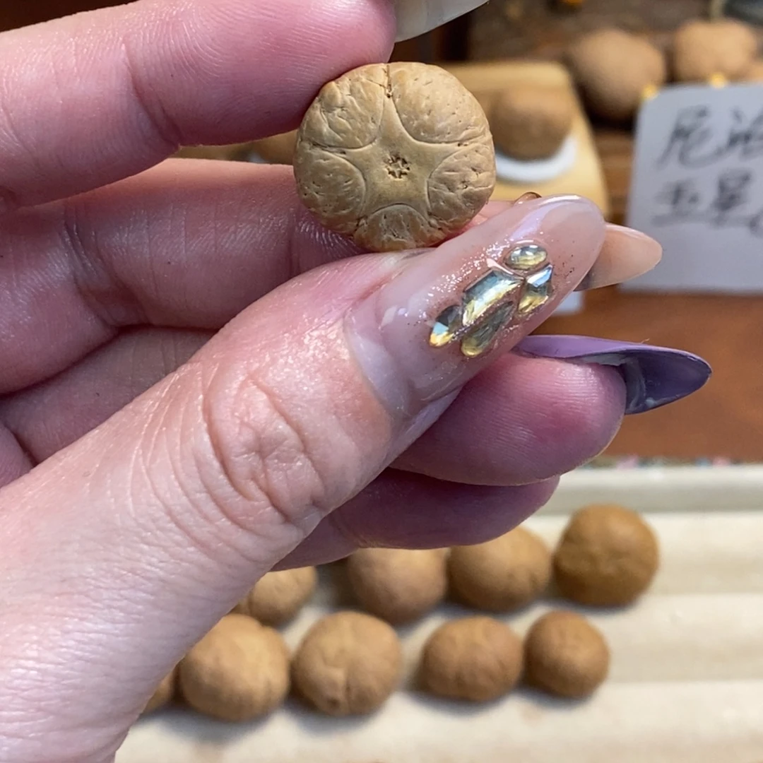 凤眼菩提吊坠17.8五星单颗