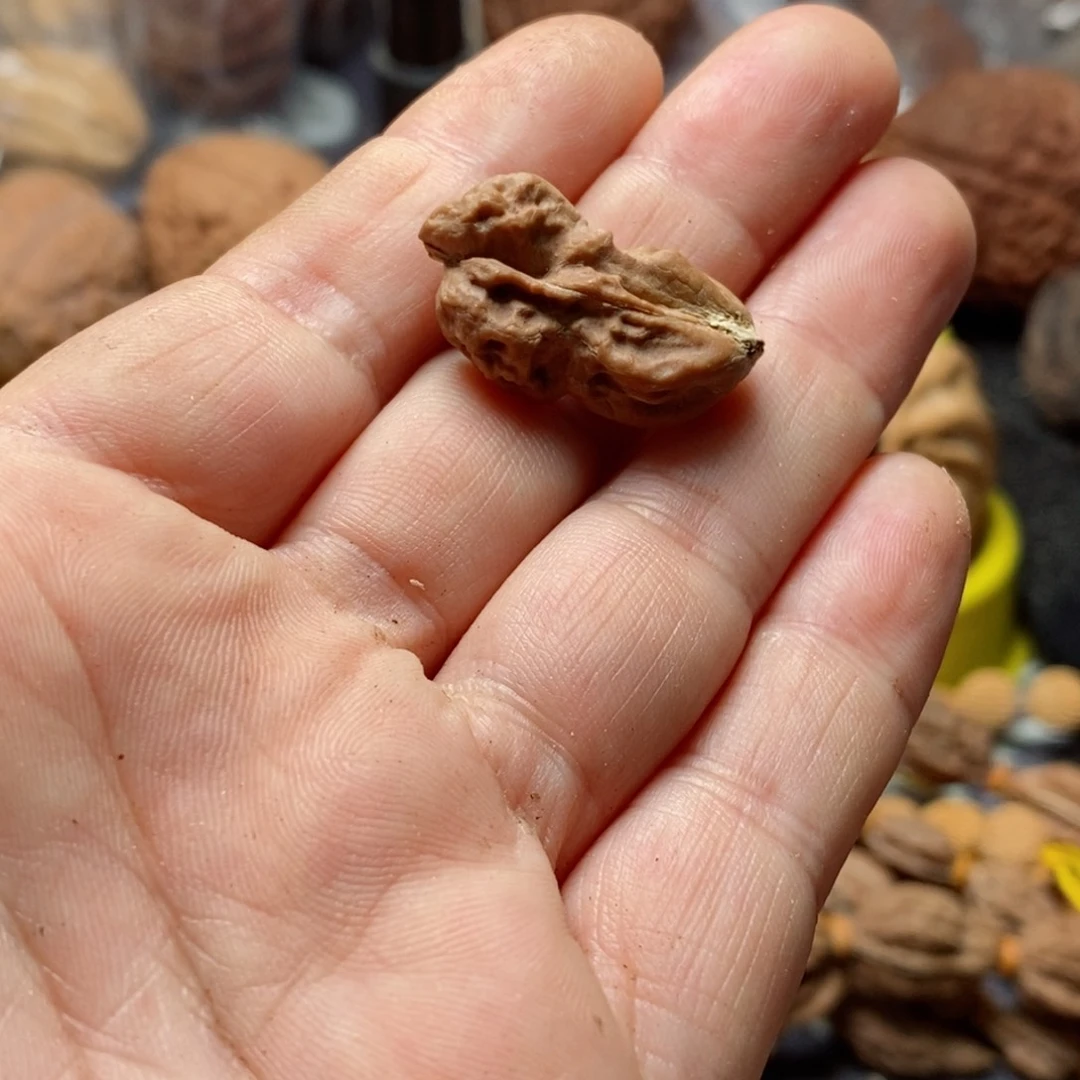 文玩核桃吊坠核桃123