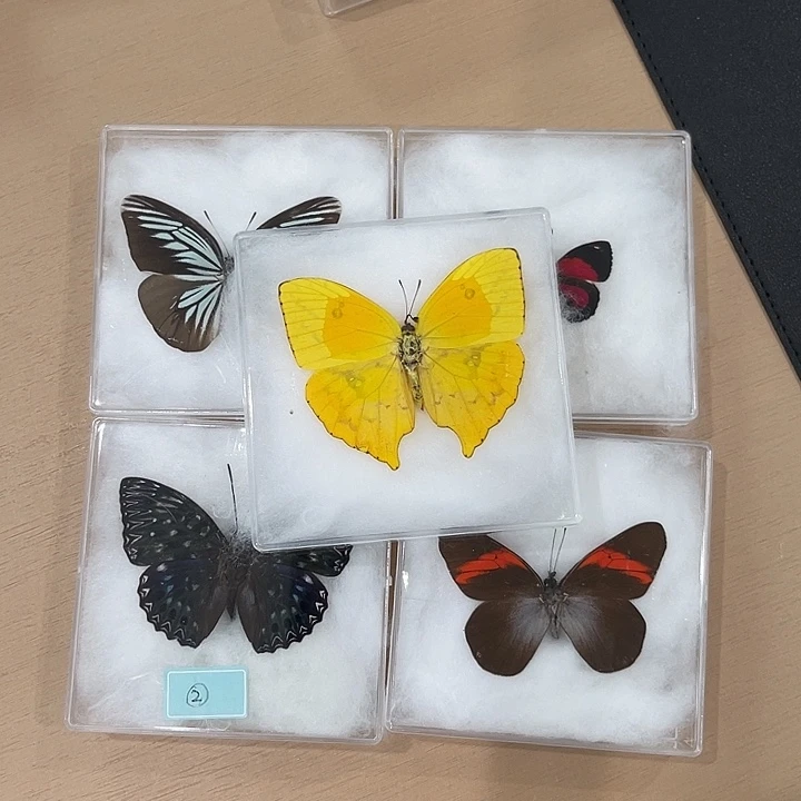 ¥***¥套餐9号5只一物一图压棉