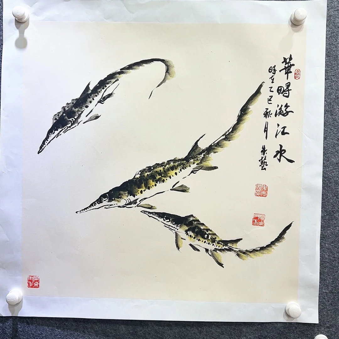 国画知鱼之乐纯手绘